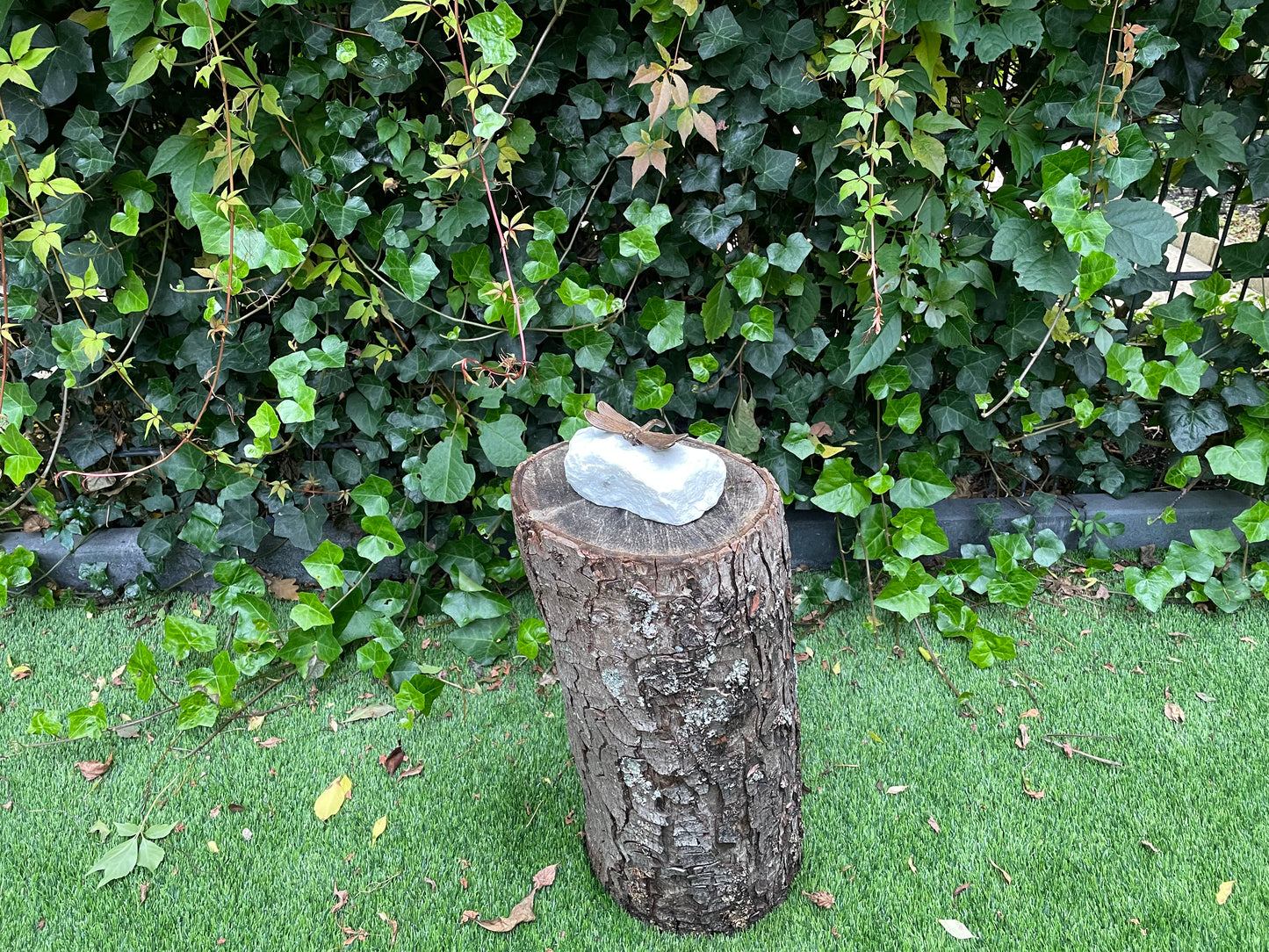 Dragonfly on Stone – Bronze Sculpture. 8x7x3cm