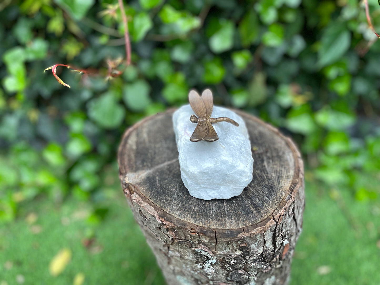 Dragonfly on Stone – Bronze Sculpture. 8x7x3cm