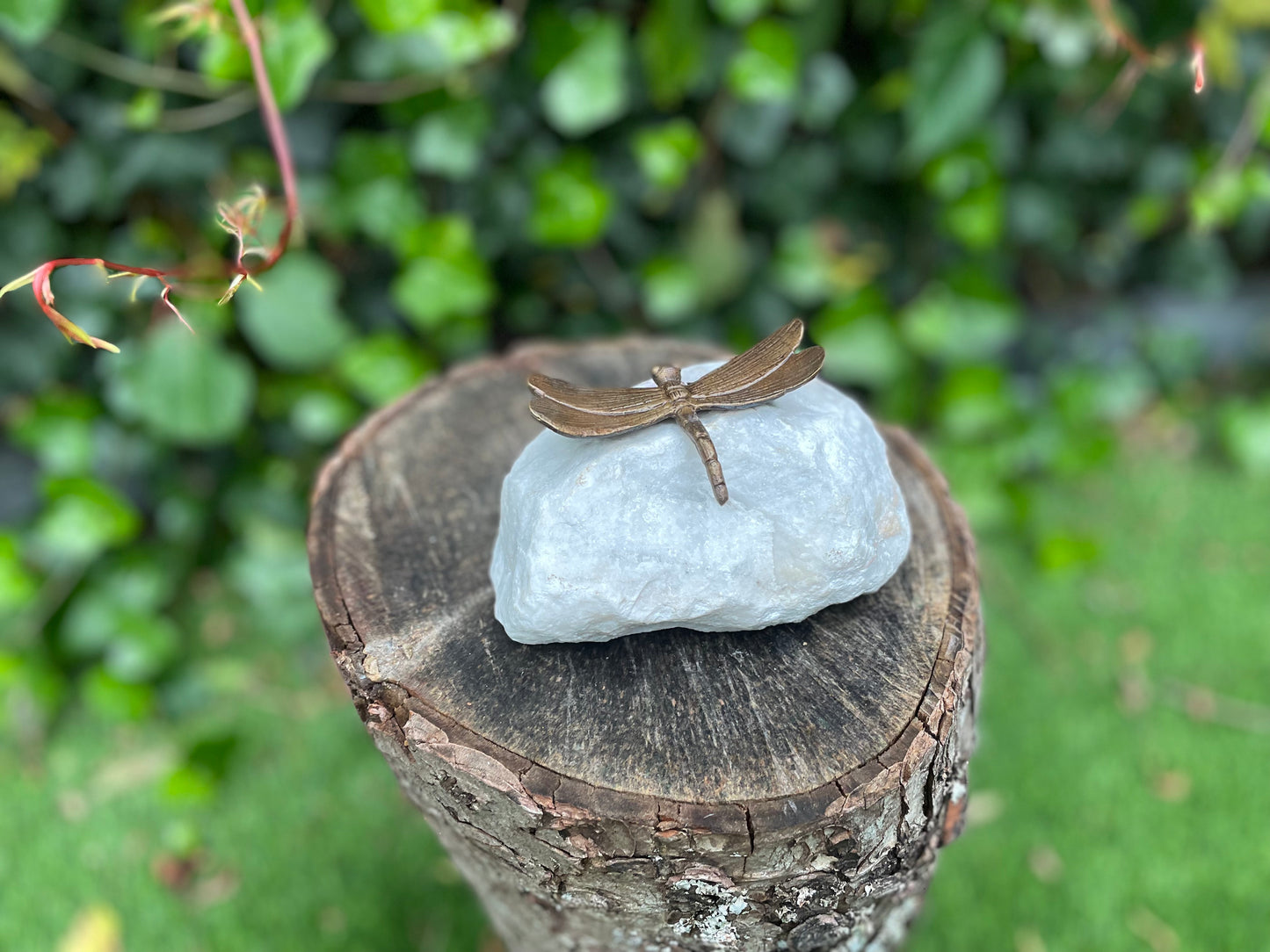 Dragonfly on Stone – Bronze Sculpture. 8x7x3cm