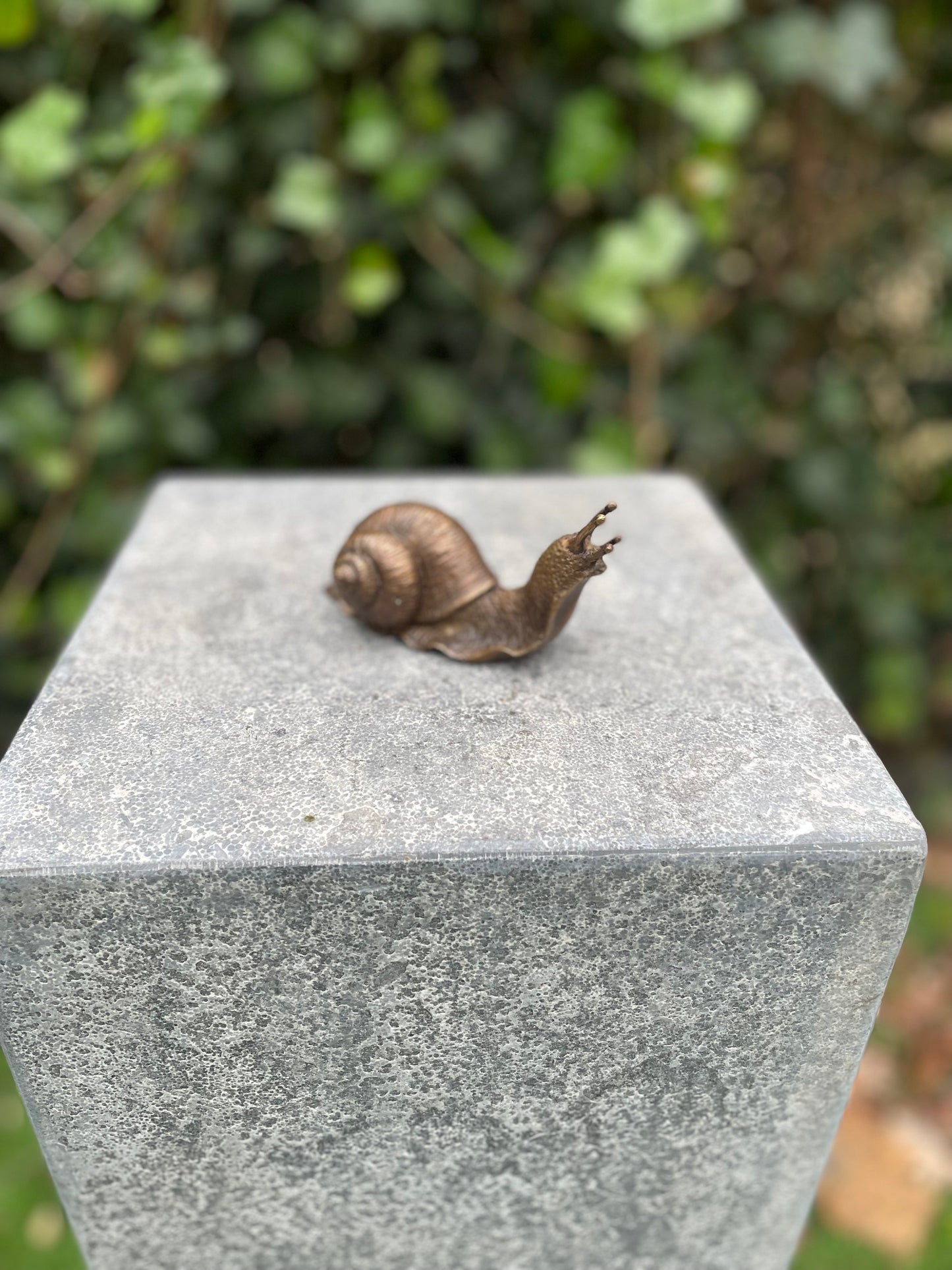 Garden Snail – Bronze Sculpture. 11x5x6cm - 0.9 Kg