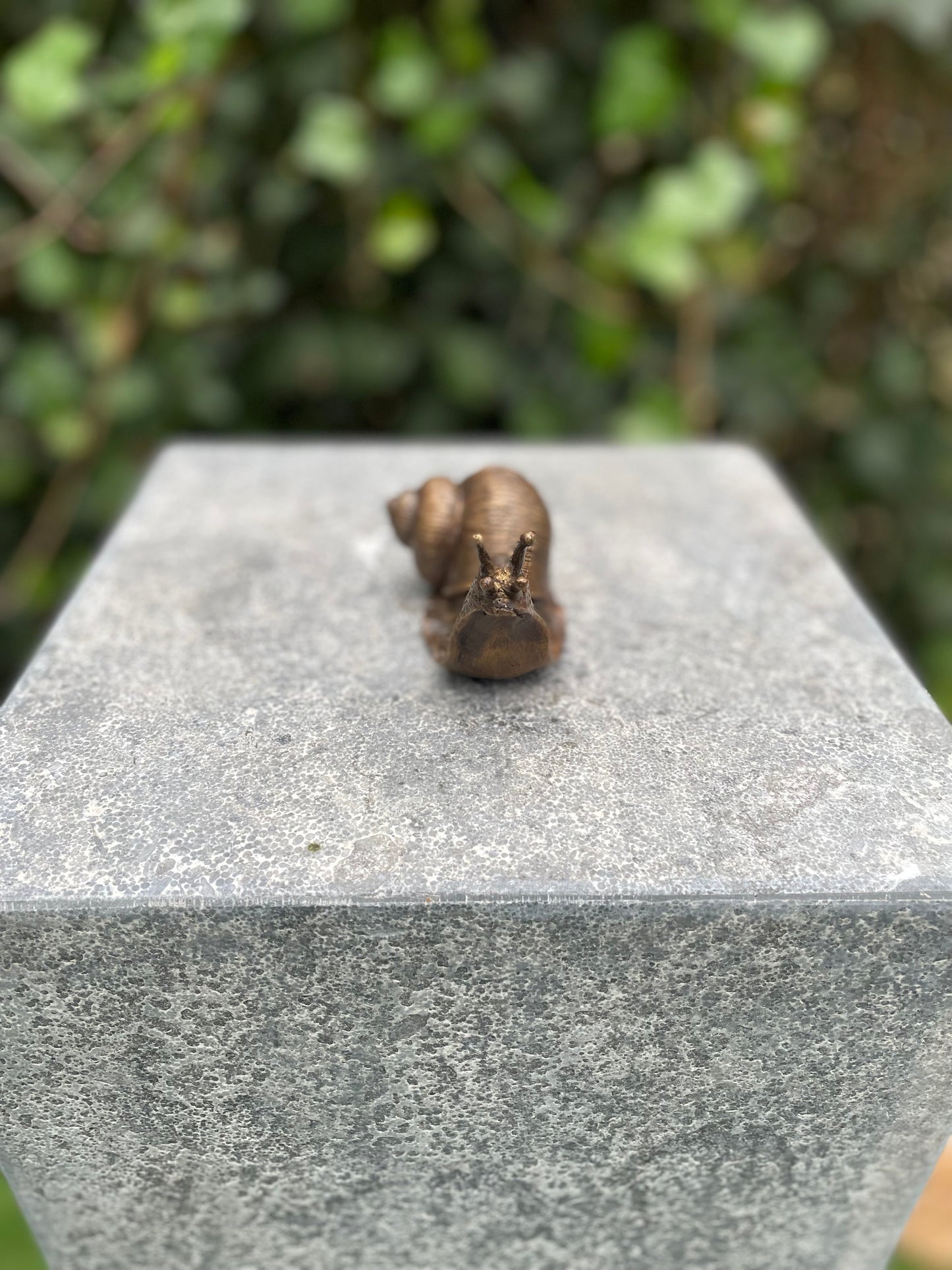 Garden Snail – Bronze Sculpture. 11x5x6cm - 0.9 Kg