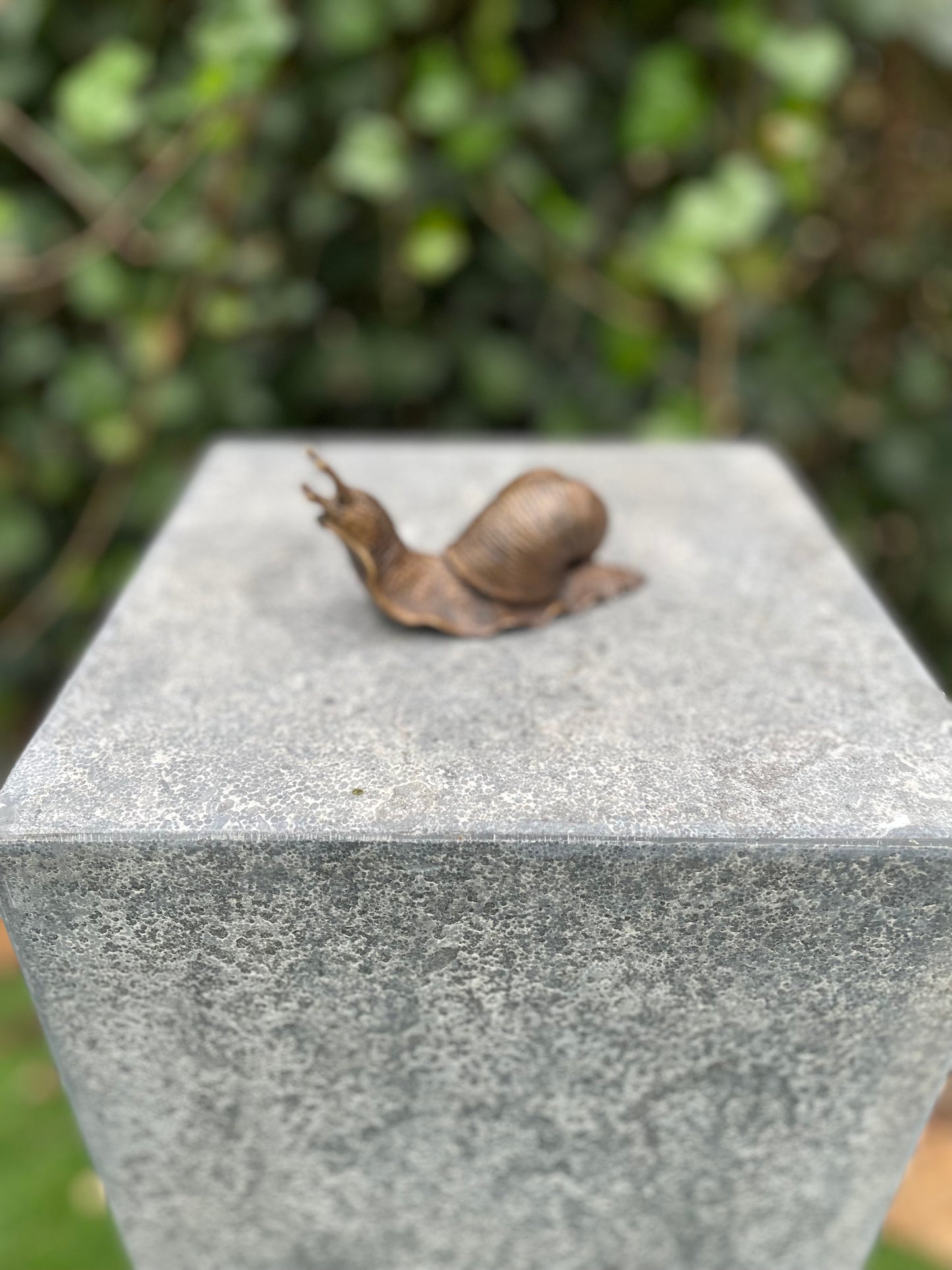 Garden Snail – Bronze Sculpture. 11x5x6cm - 0.9 Kg