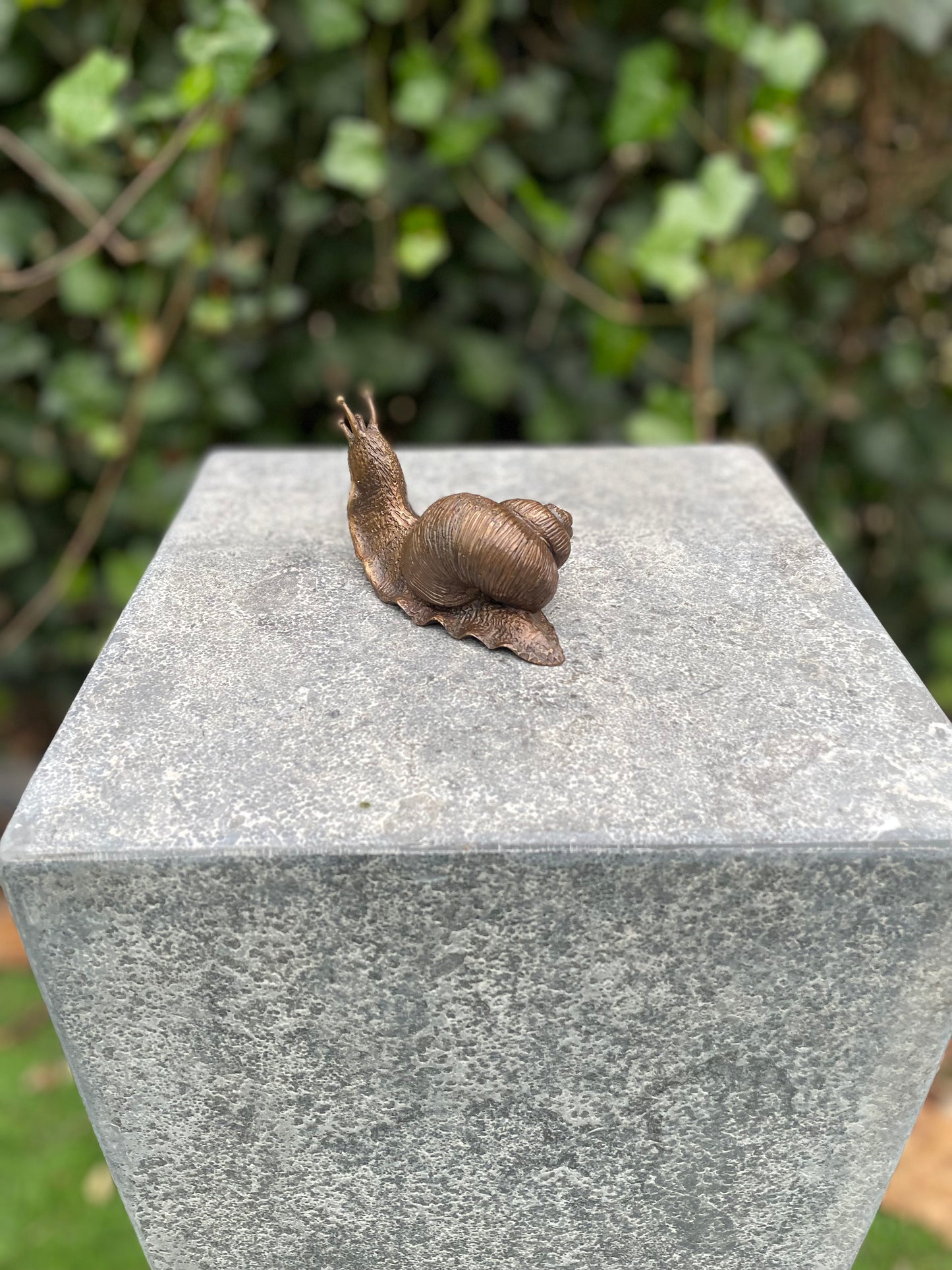 Garden Snail – Bronze Sculpture. 11x5x6cm - 0.9 Kg