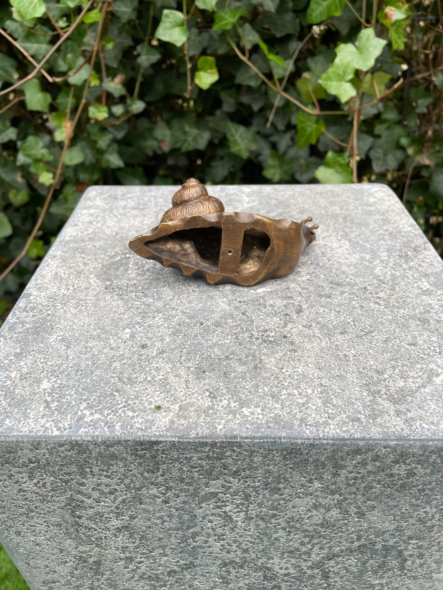 Garden Snail – Bronze Sculpture. 11x5x6cm - 0.9 Kg
