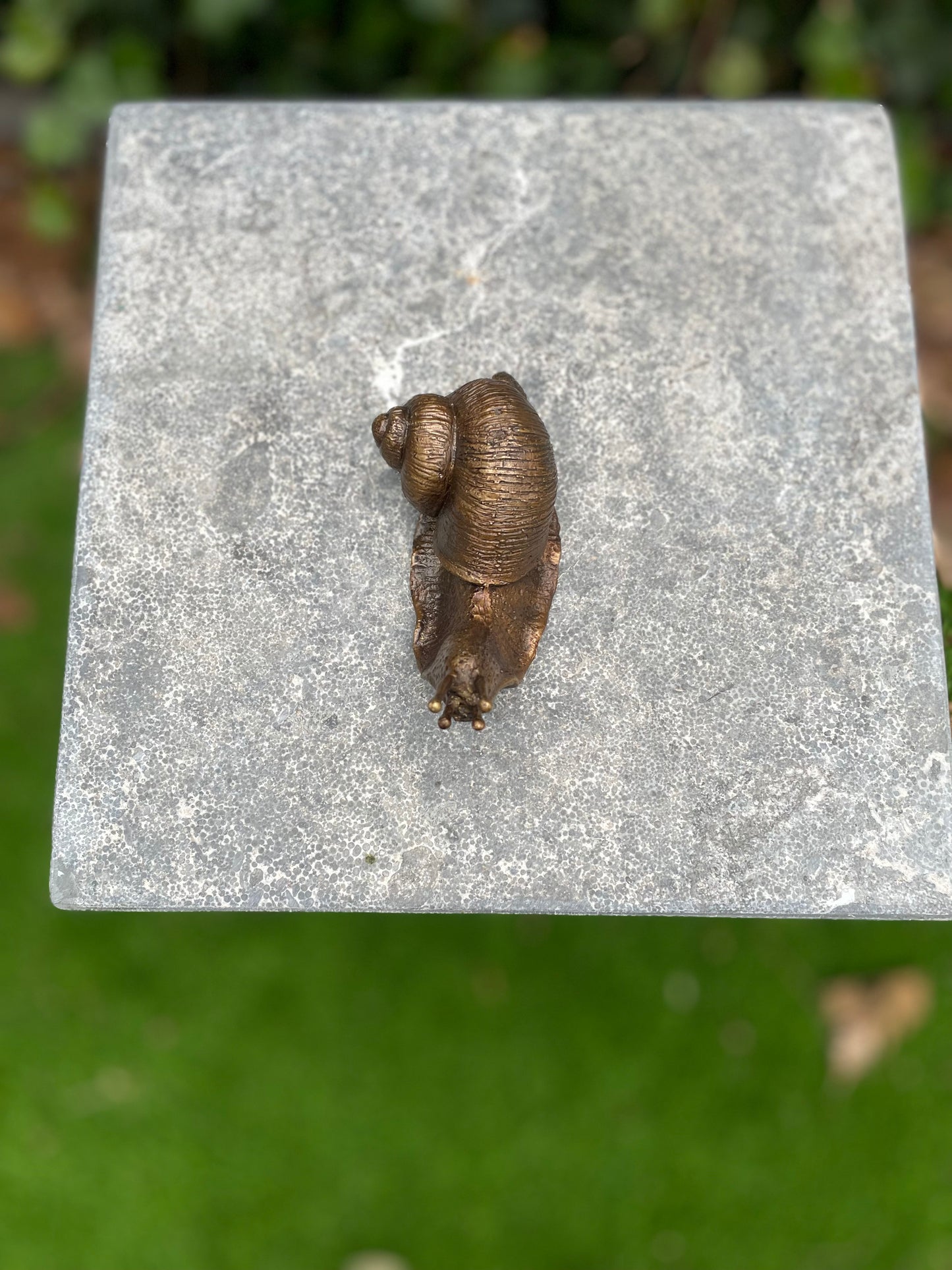 Garden Snail – Bronze Sculpture. 11x5x6cm - 0.9 Kg