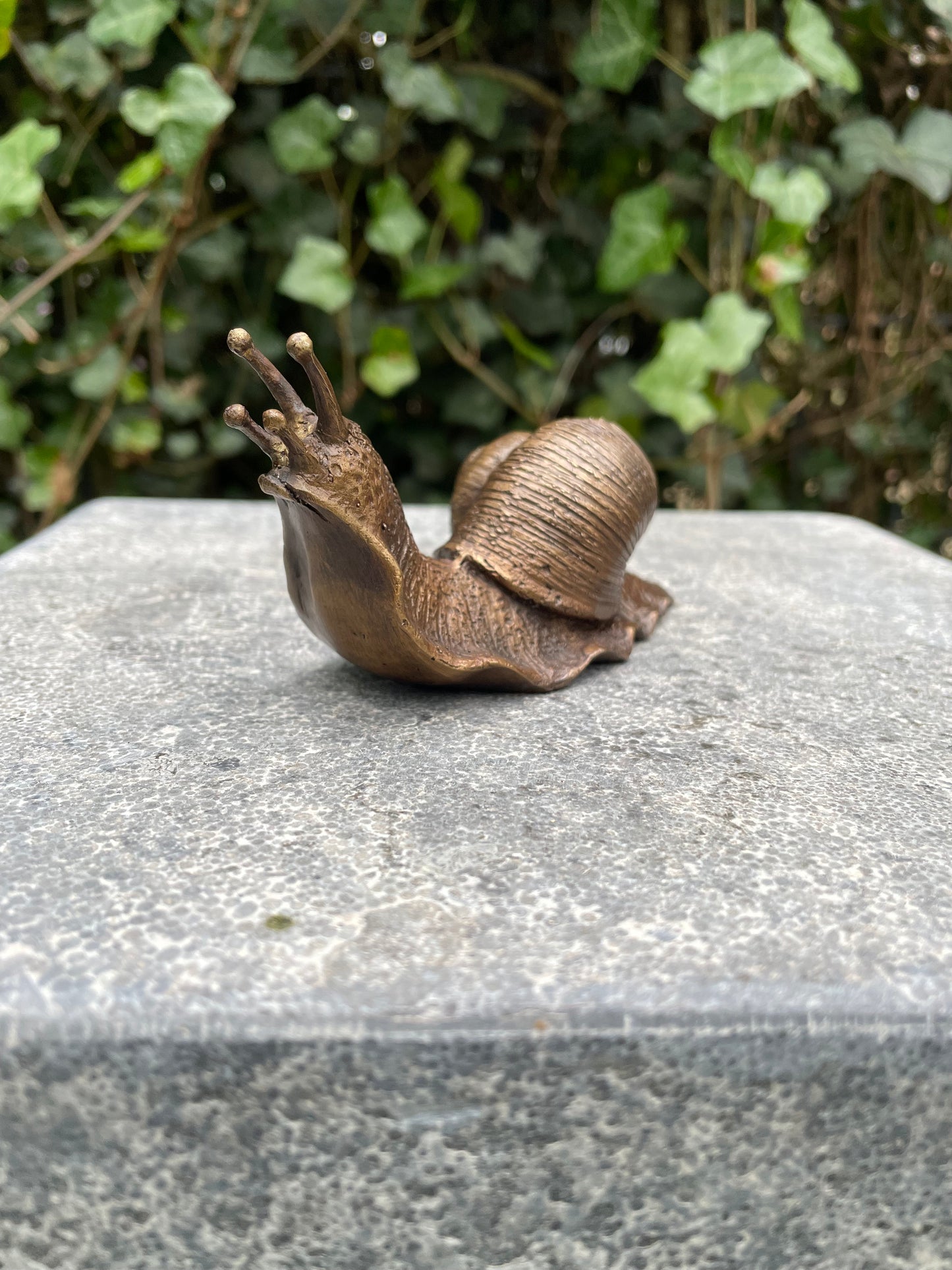 Garden Snail – Bronze Sculpture. 11x5x6cm - 0.9 Kg