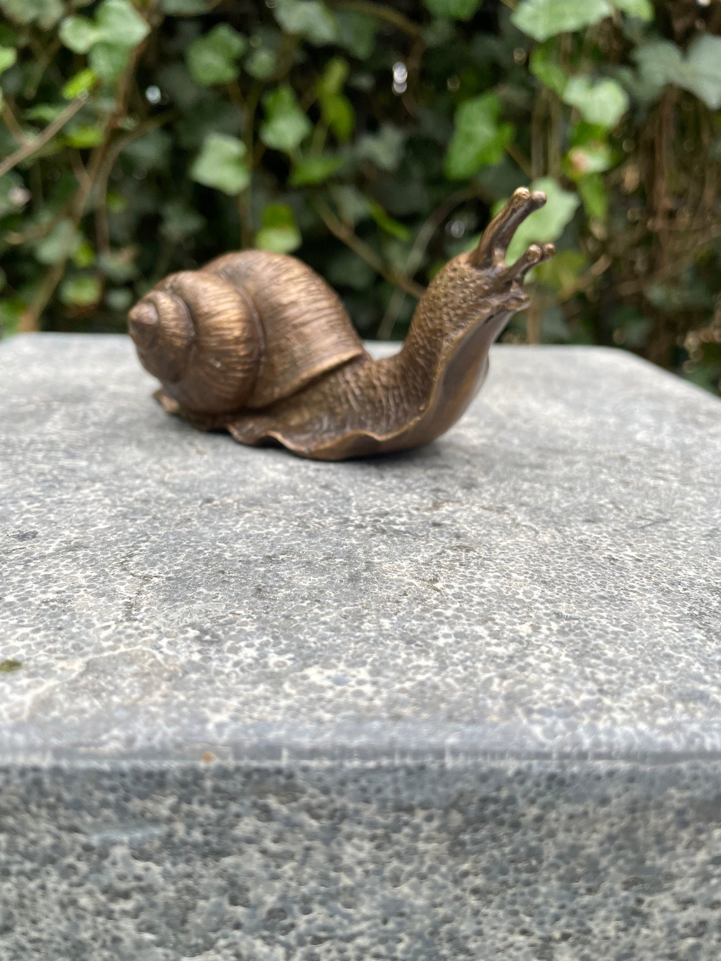 Garden Snail – Bronze Sculpture. 11x5x6cm - 0.9 Kg