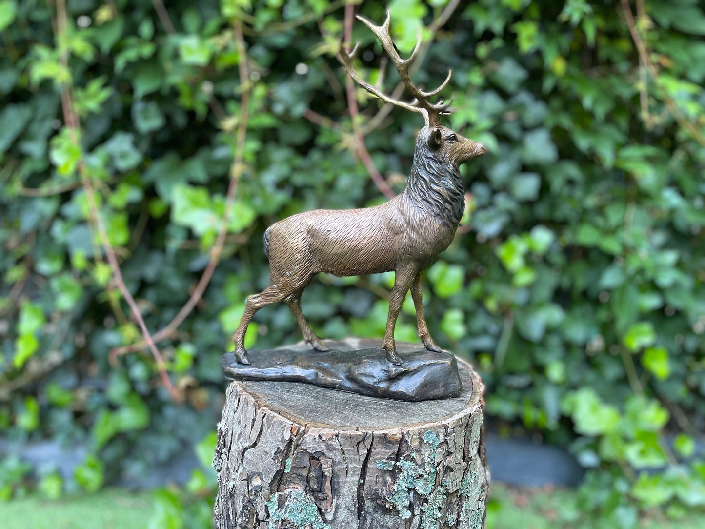 Majestic Stag – Bronze Sculpture. 32x12x28cm