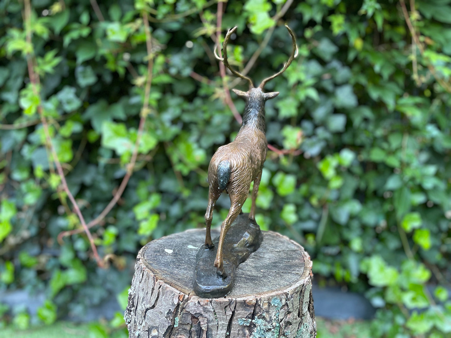 Majestic Stag – Bronze Sculpture. 32x12x28cm