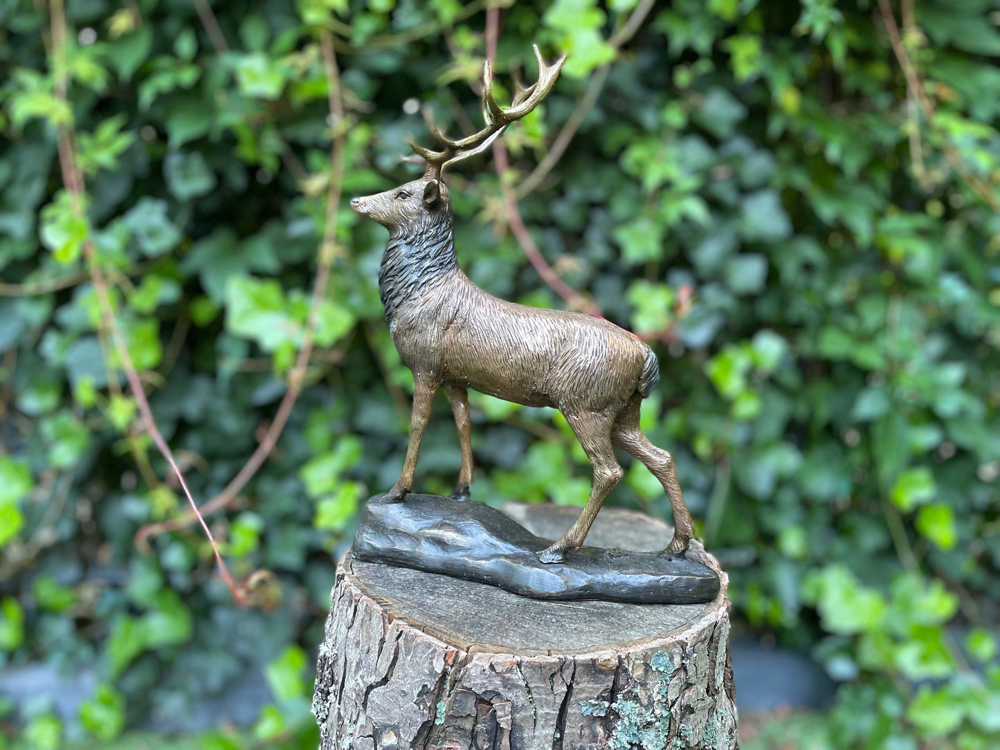 Majestic Stag – Bronze Sculpture. 32x12x28cm