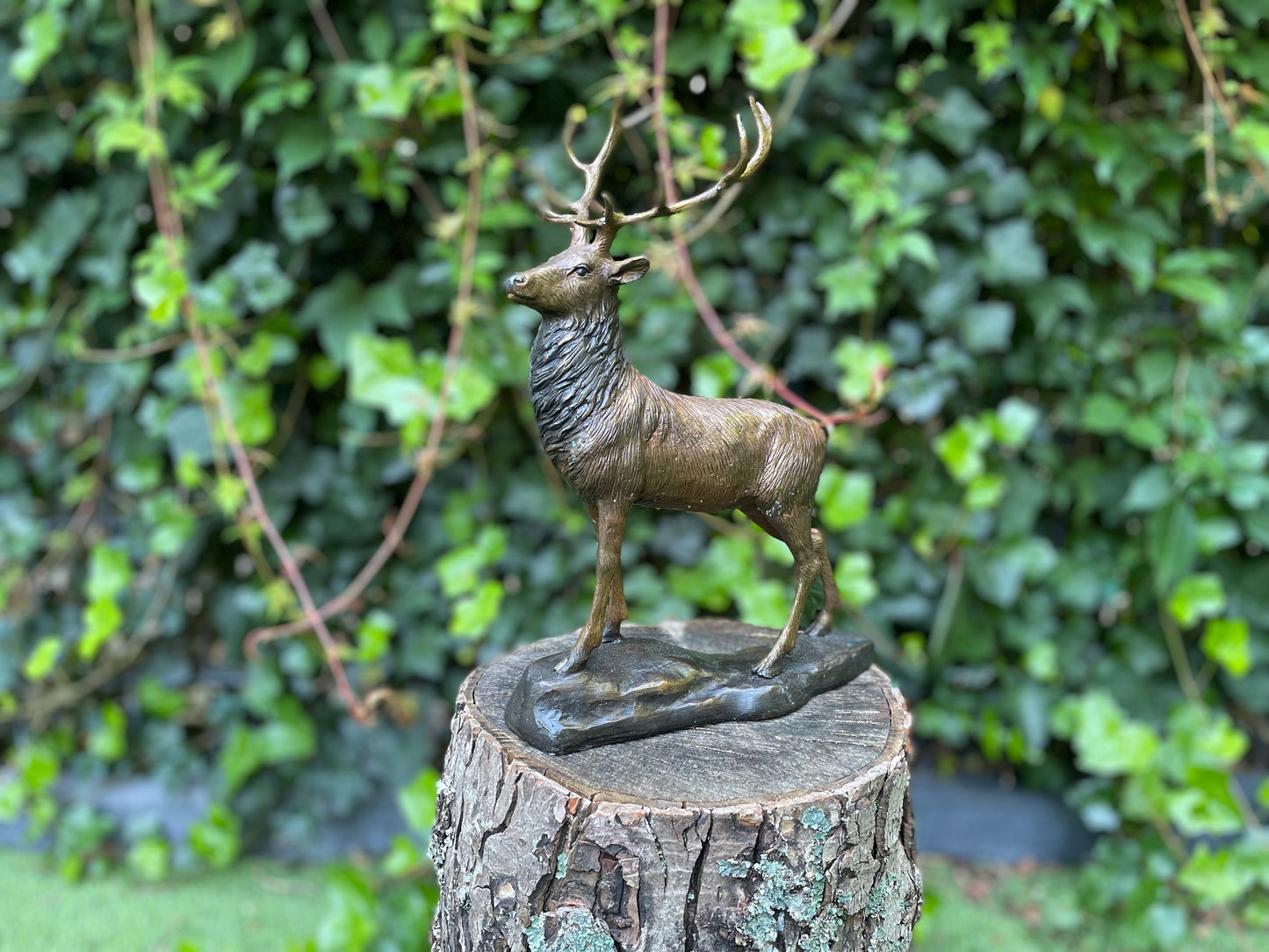 Majestic Stag – Bronze Sculpture. 32x12x28cm