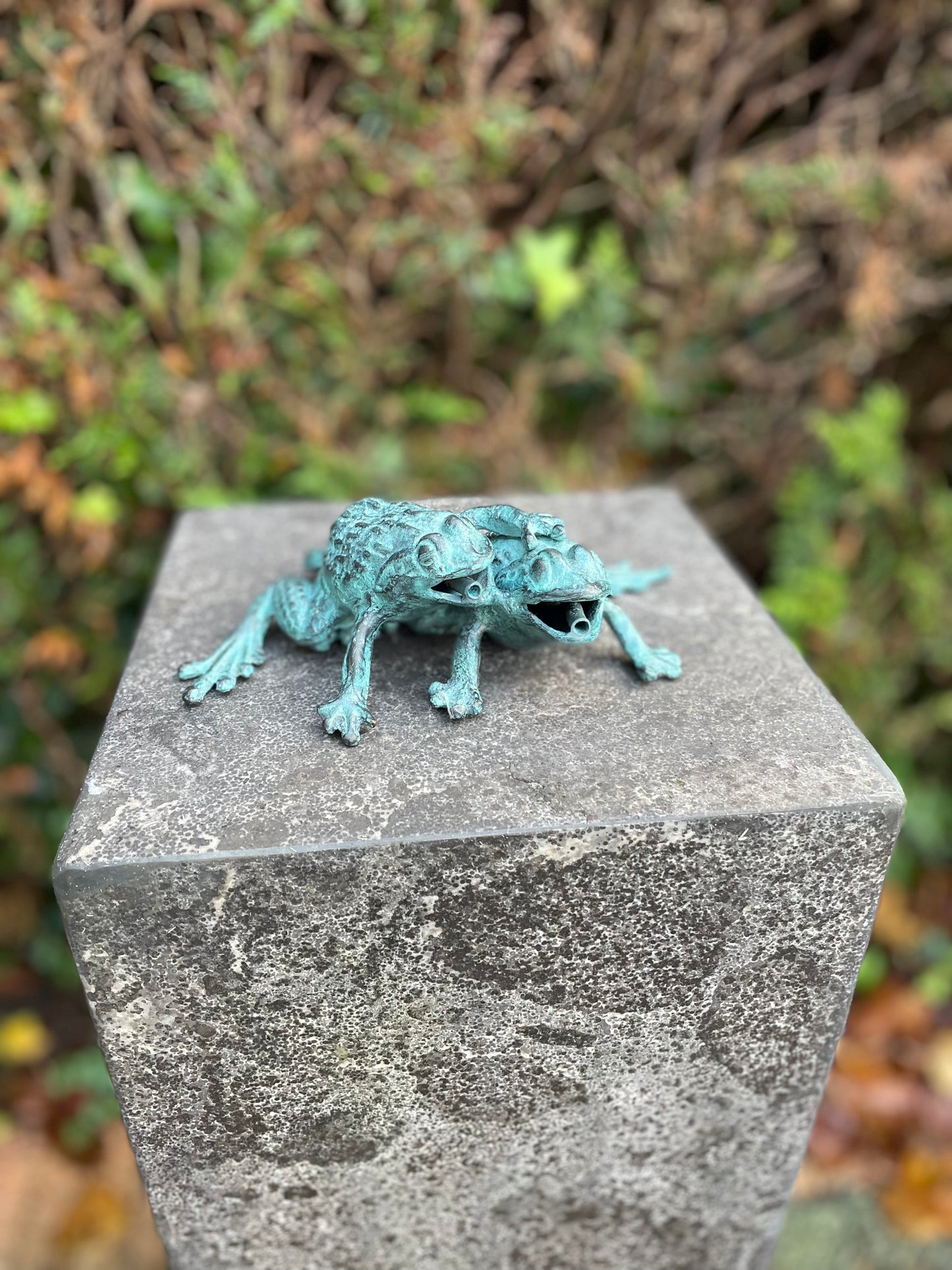 Duo Frogs – Bronze Sculpture. 13x11x17cm - 0.8Kg