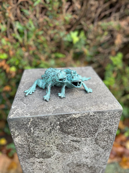 Duo Frogs – Bronze Sculpture. 13x11x17cm - 0.8Kg