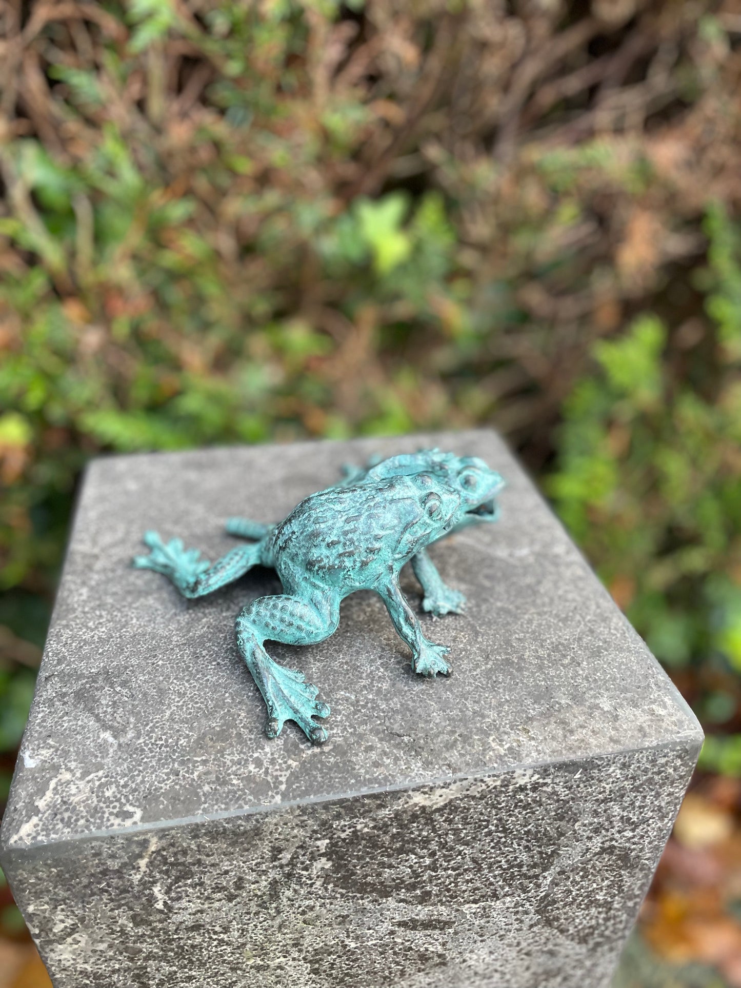 Duo Frogs – Bronze Sculpture. 13x11x17cm - 0.8Kg
