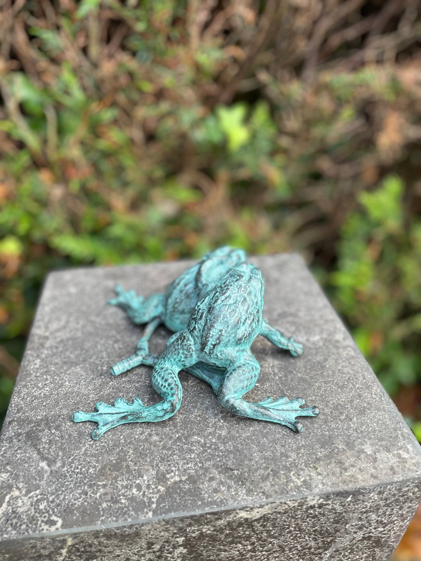 Duo Frogs – Bronze Sculpture. 13x11x17cm - 0.8Kg