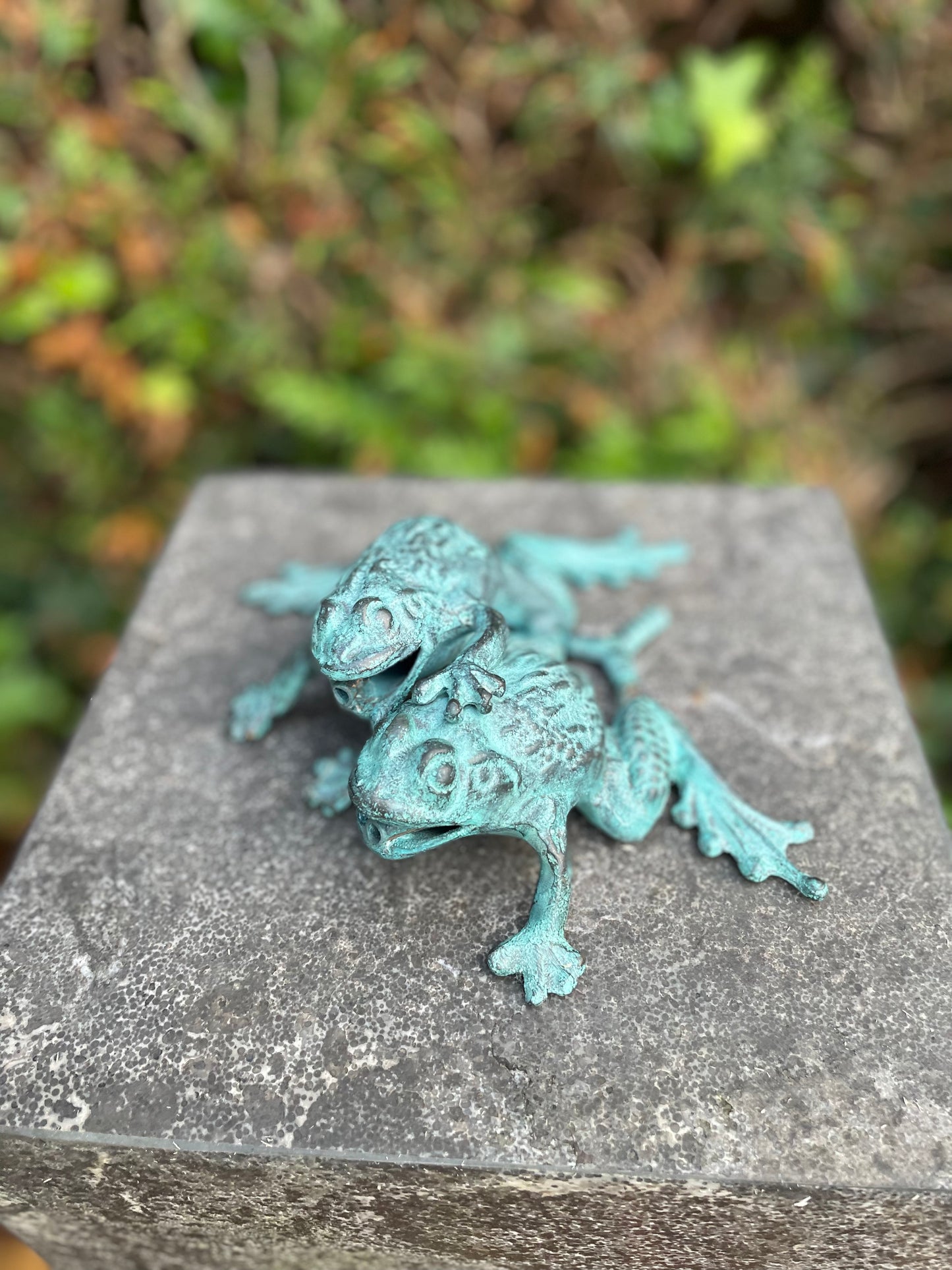 Duo Frogs – Bronze Sculpture. 13x11x17cm - 0.8Kg