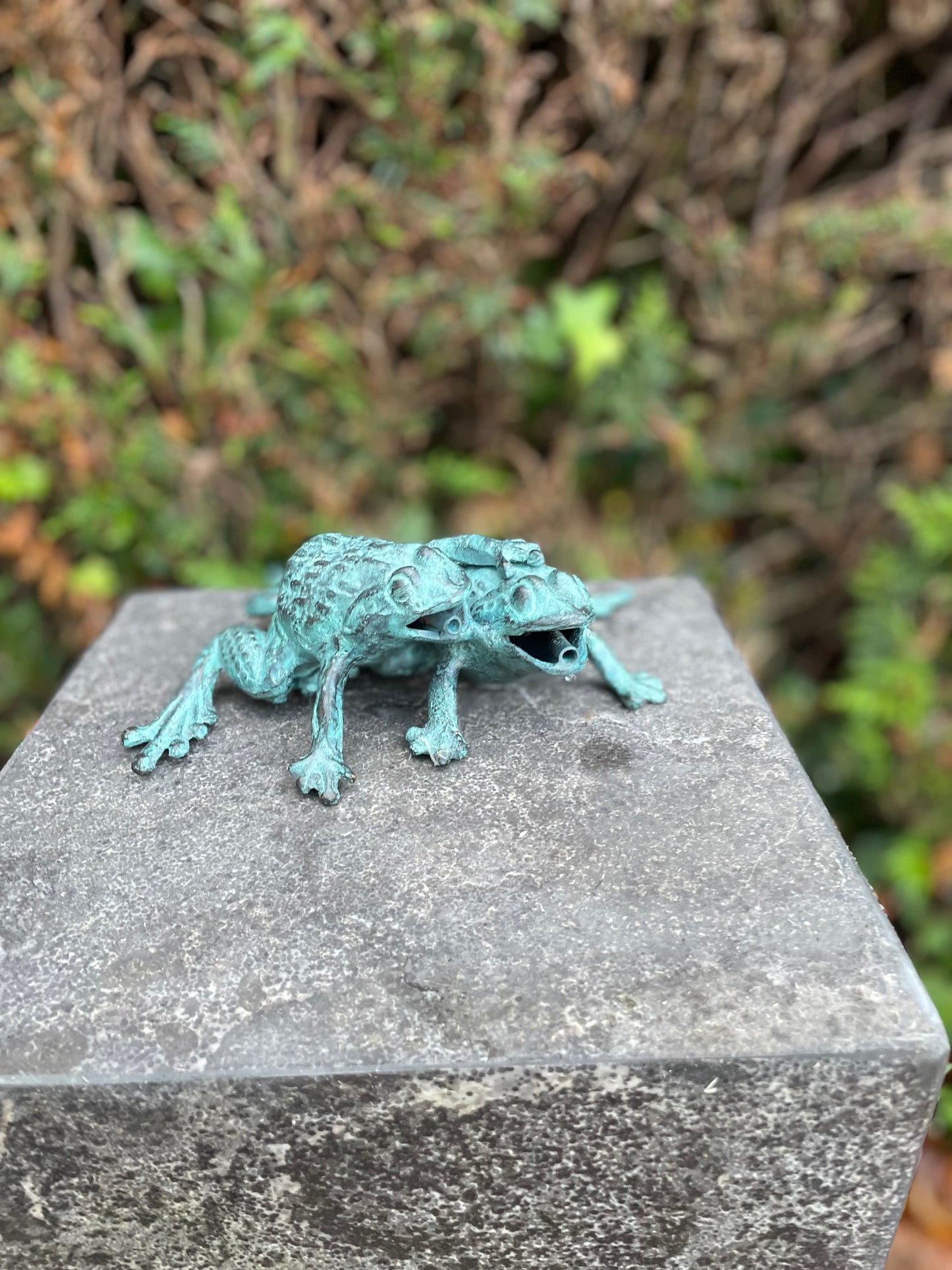 Duo Frogs – Bronze Sculpture. 13x11x17cm - 0.8Kg