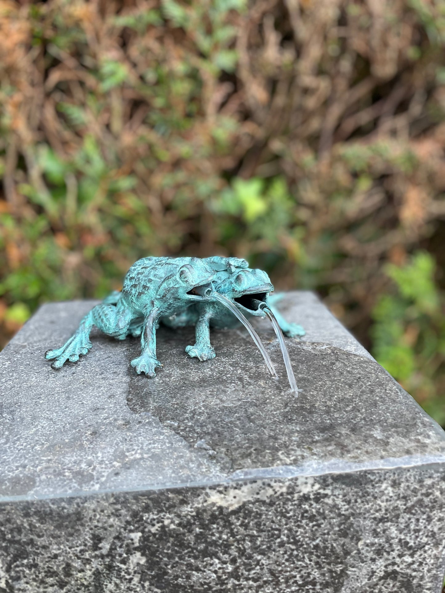 Duo Frogs – Bronze Sculpture. 13x11x17cm - 0.8Kg