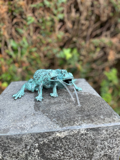 Duo Frogs – Bronze Sculpture. 13x11x17cm - 0.8Kg