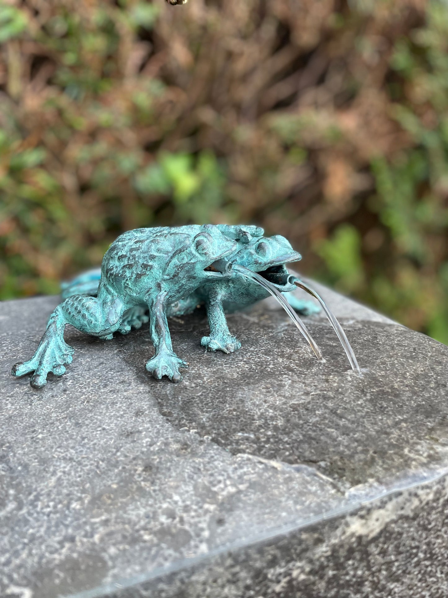Duo Frogs – Bronze Sculpture. 13x11x17cm - 0.8Kg