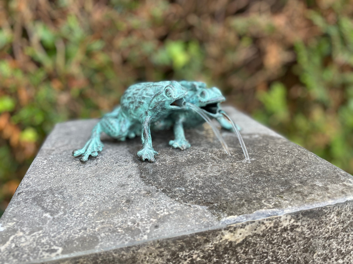 Duo Frogs – Bronze Sculpture. 13x11x17cm - 0.8Kg