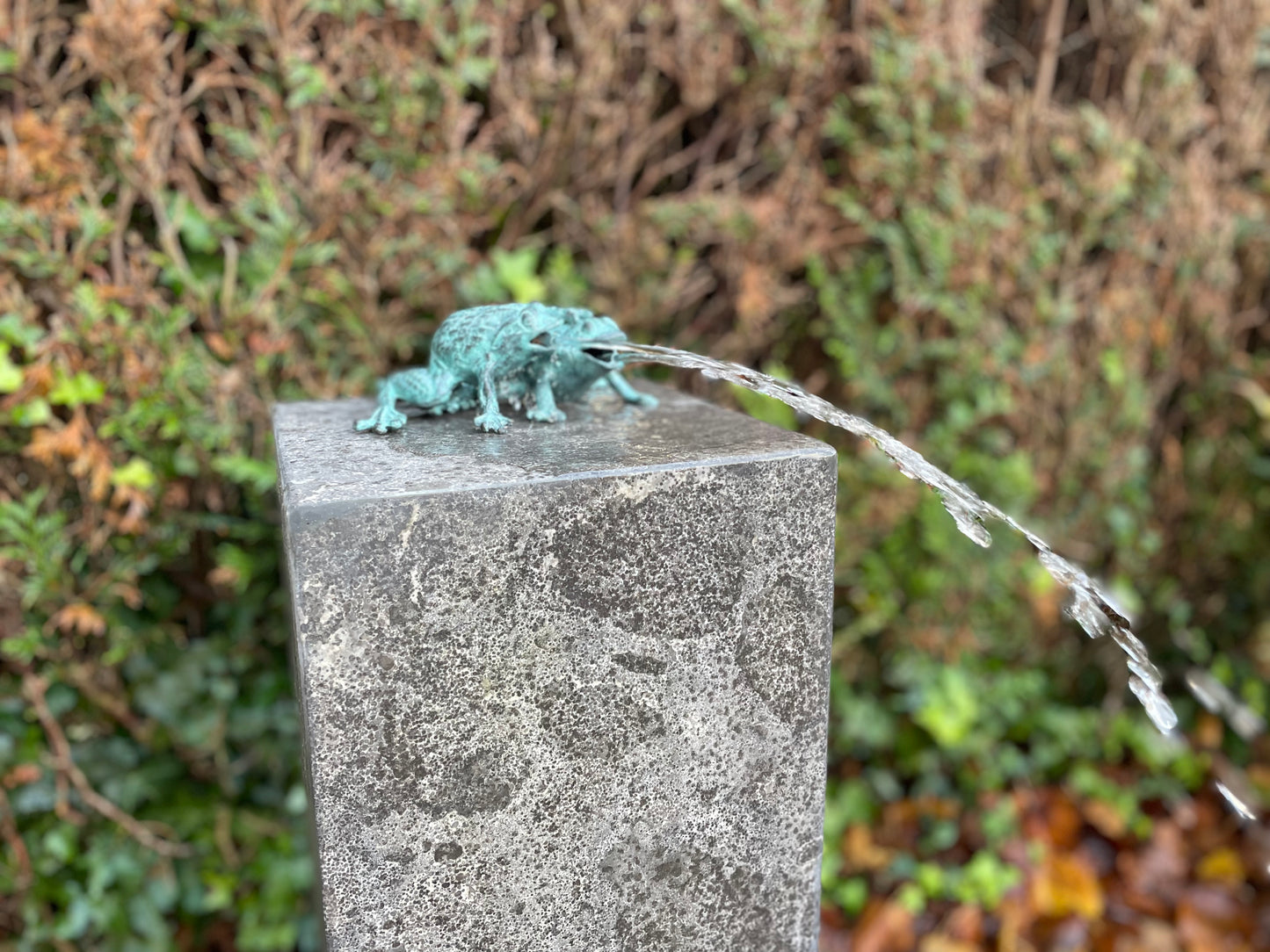 Duo Frogs – Bronze Sculpture. 13x11x17cm - 0.8Kg