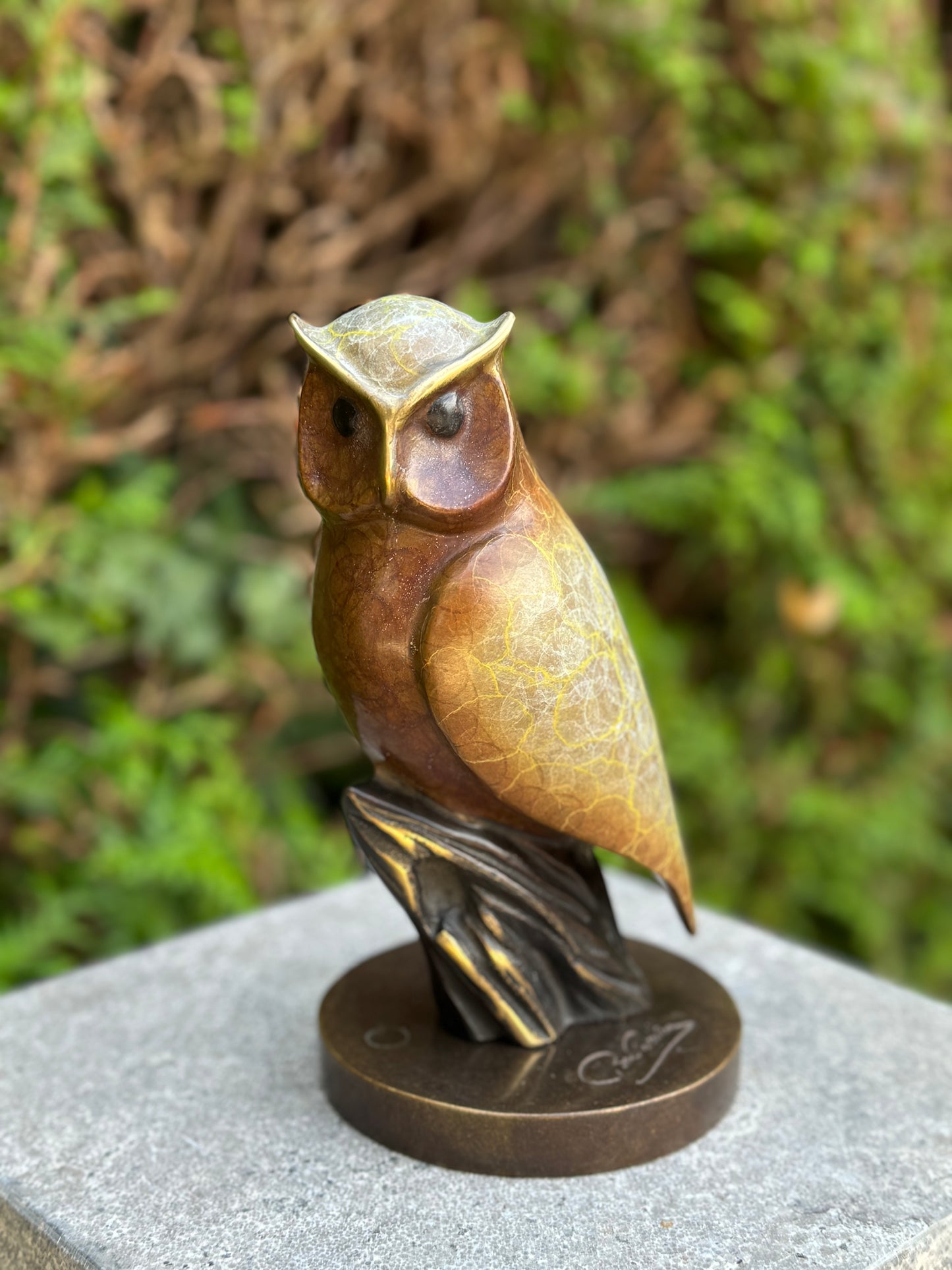 Wise Owl – Bronze Sculpture. 11x11x21cm - 2Kg