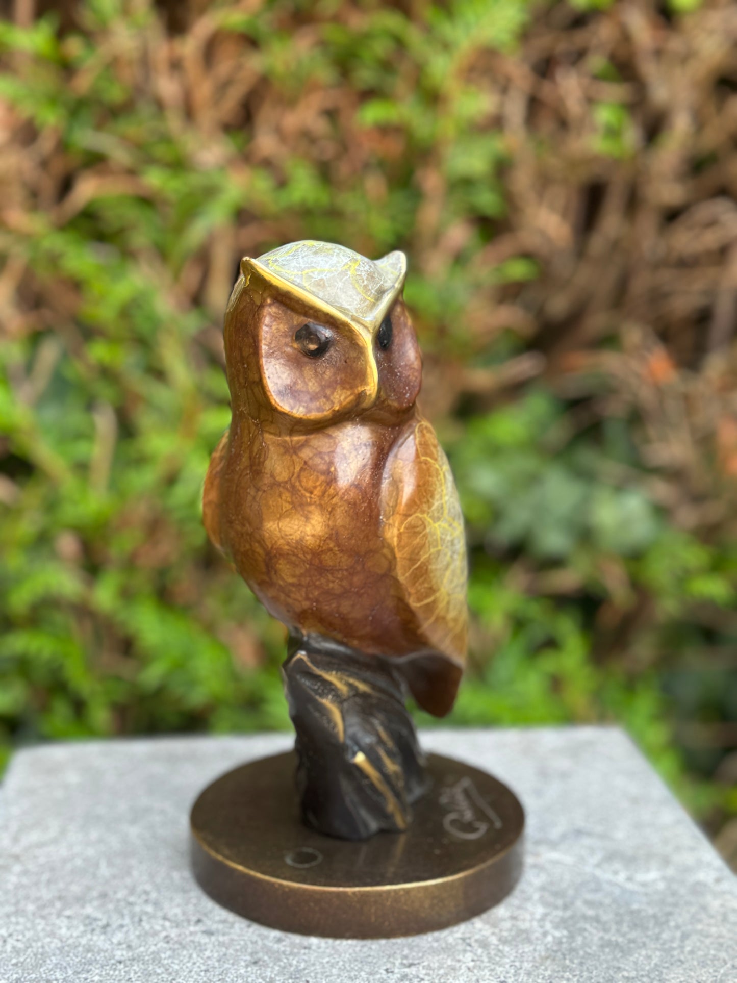 Wise Owl – Bronze Sculpture. 11x11x21cm - 2Kg