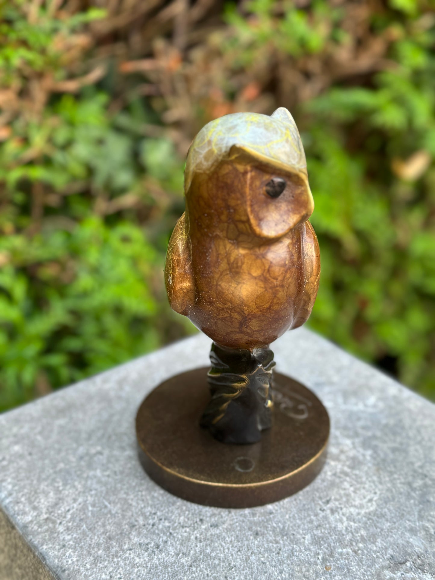 Wise Owl – Bronze Sculpture. 11x11x21cm - 2Kg