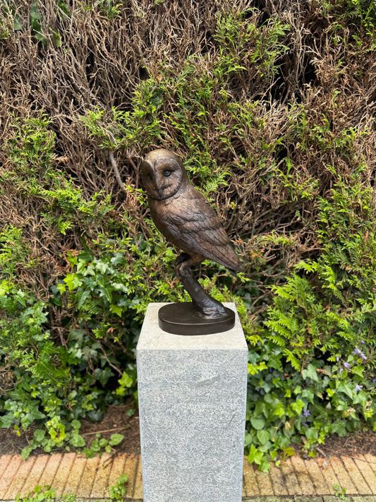 Silent Watcher – Bronze Sculpture. 16x13x43cm - 5.5Kg