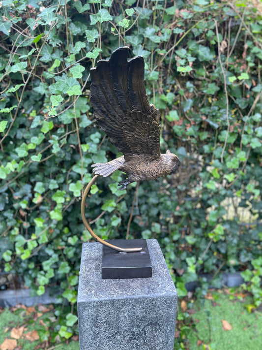 Soaring Owl – Bronze Sculpture. 45x27x53cm - 3.8Kg