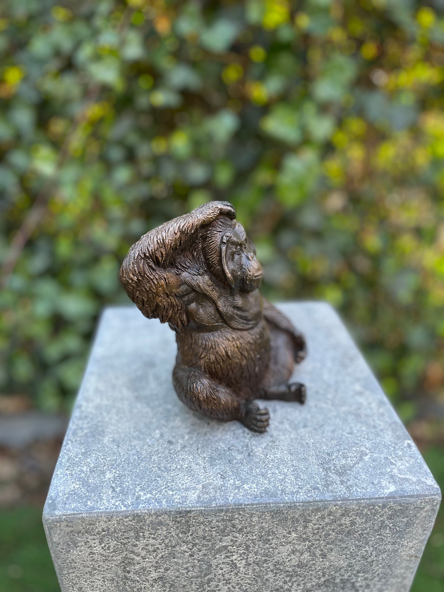 Bronze Orangutan -16x10x14cm