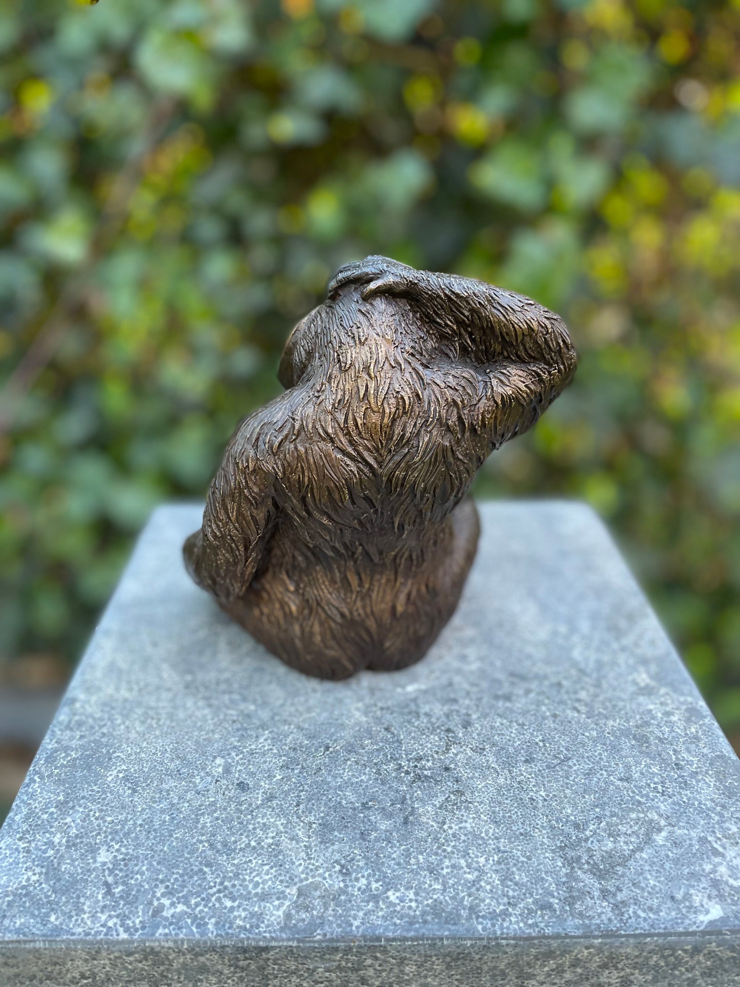 Bronze Orangutan -16x10x14cm