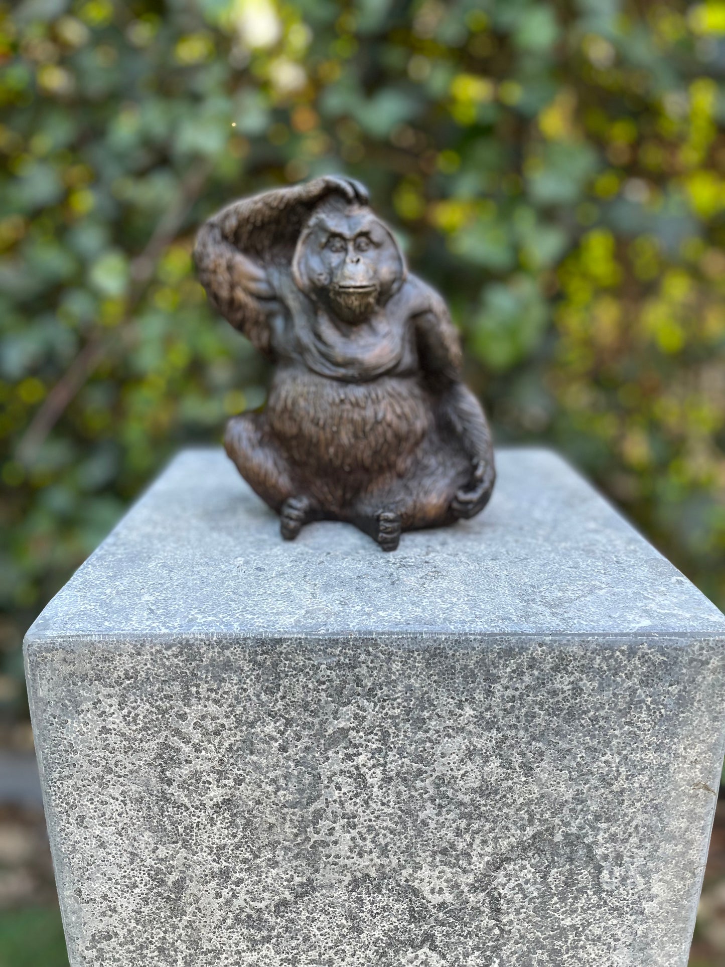 Bronze Orangutan -16x10x14cm