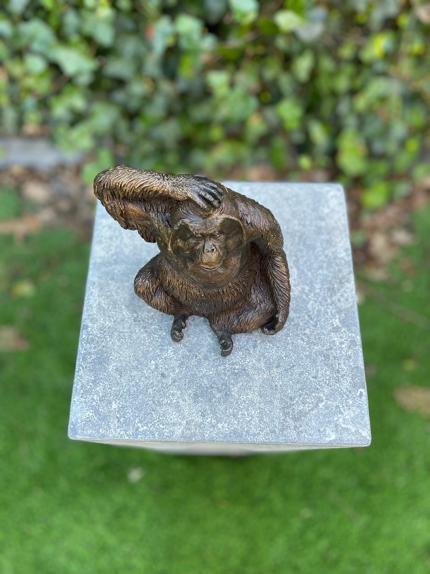 Bronze Orangutan -16x10x14cm