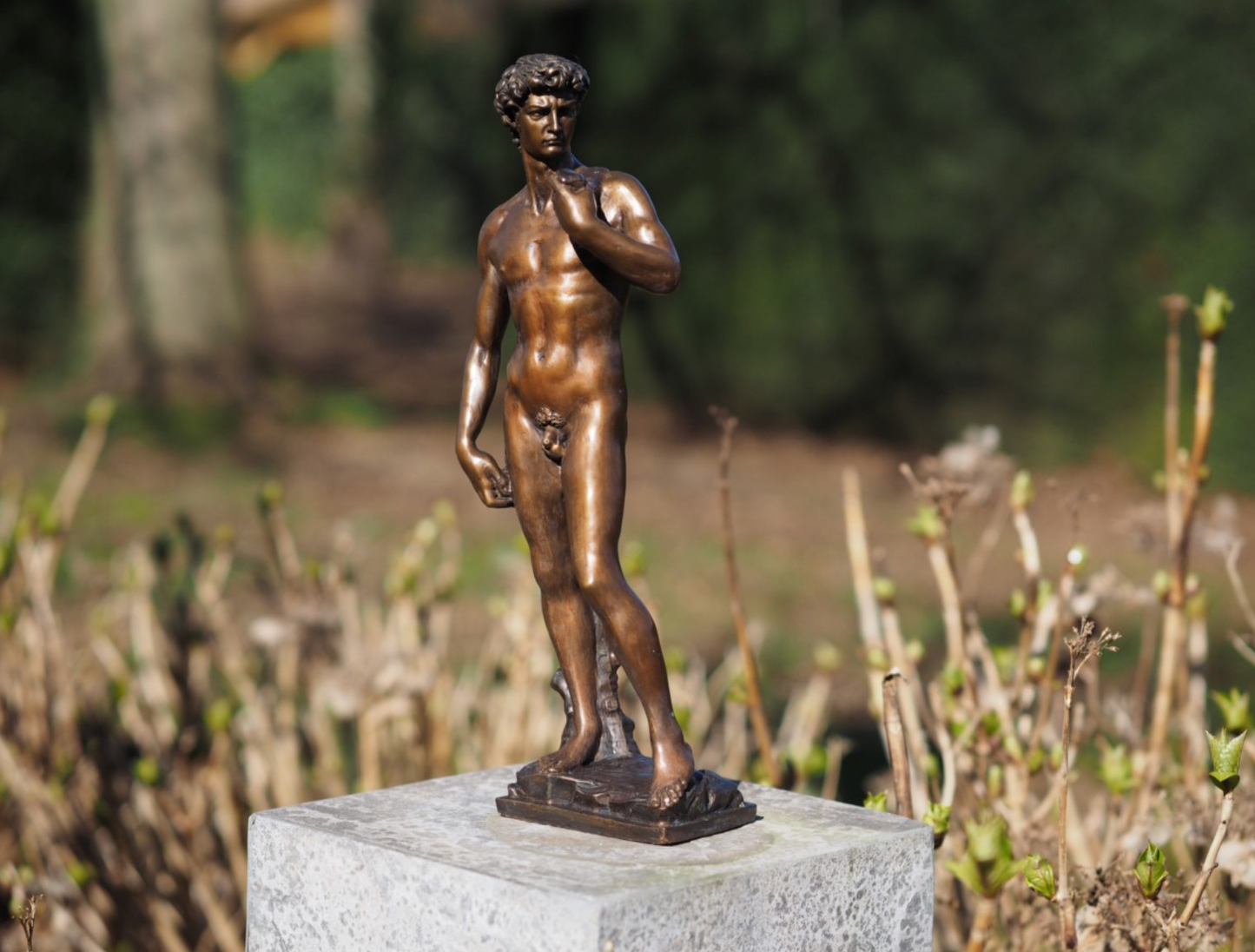 David – Bronze Sculpture. 32x9x8cm - 2Kg