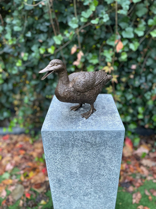 Standing Duck – Bronze Sculpture. 20x10x28cm - 1.7Kg