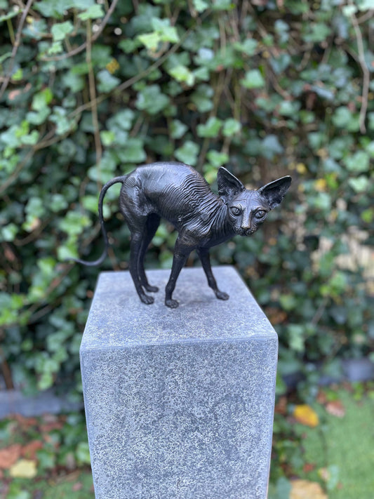 Sphynx Cat – Bronze Sculpture. 22x11x29cm - 1Kg