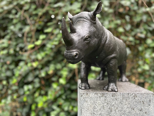 Powerful Rhino – Bronze Sculpture. 51x16x27cm