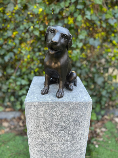 Faithful Labrador – Bronze Sculpture. 24x15x22cm - 2.7Kg