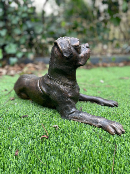 Loyal Boxer – Bronze Sculpture. 46x27x24cm - 2Kg