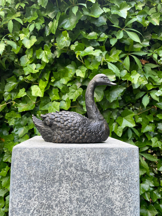 Resting Swan – Bronze Sculpture. 22x9x16cm - 1.2Kg