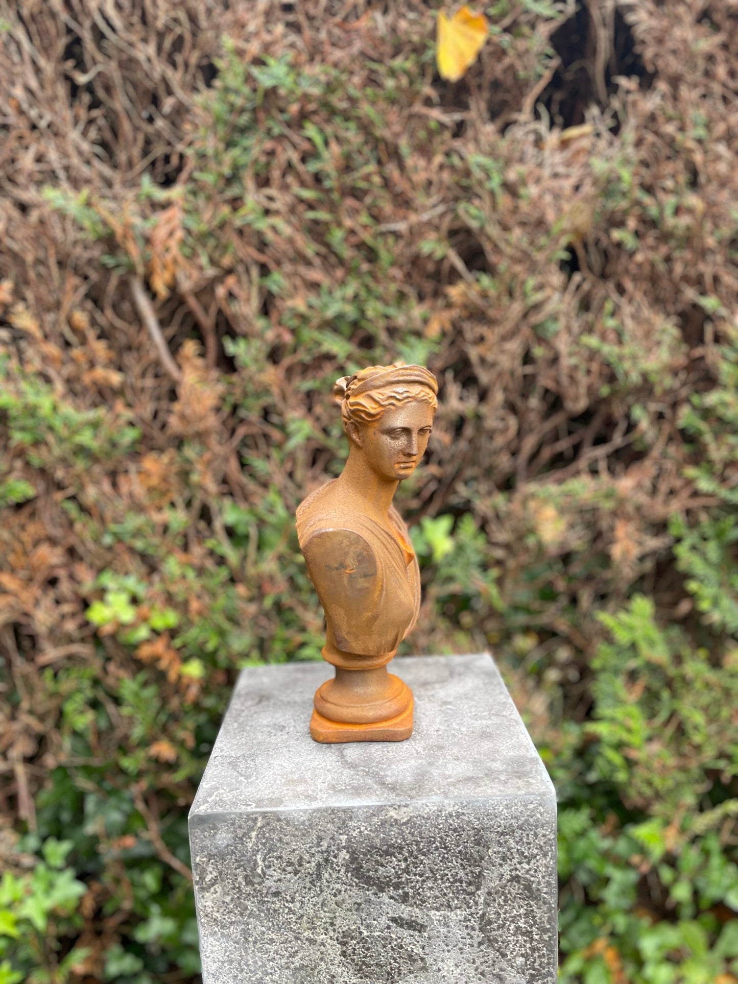 Classical Lady Bust – Iron Sculpture. 29x16x11cm - 3.5Kg