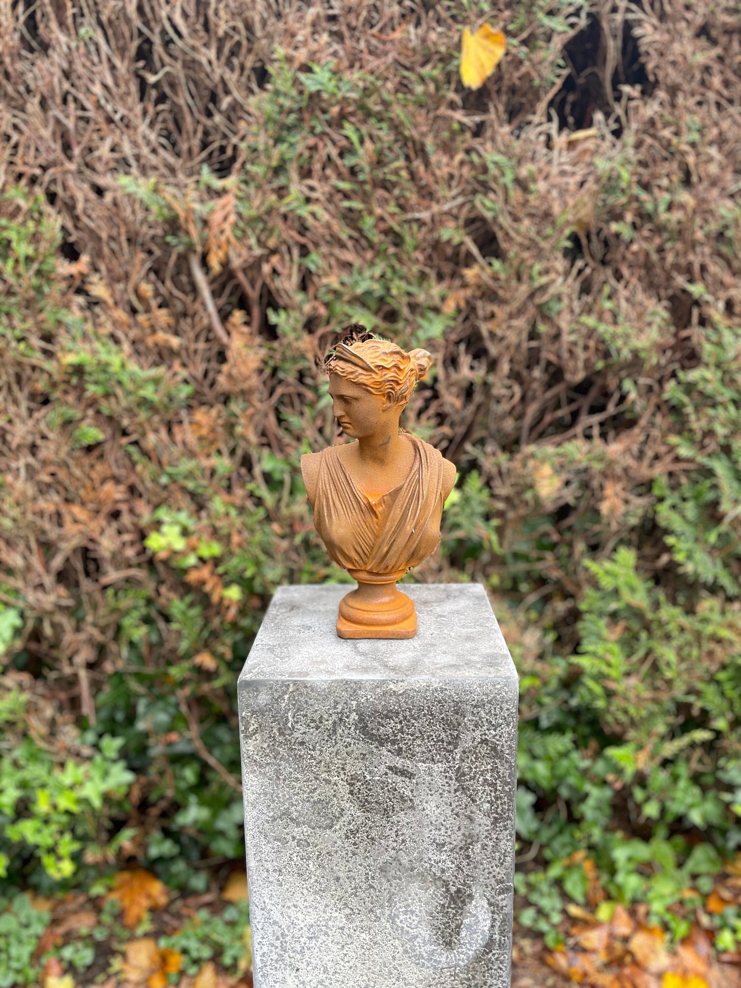 Classical Lady Bust – Iron Sculpture. 29x16x11cm - 3.5Kg