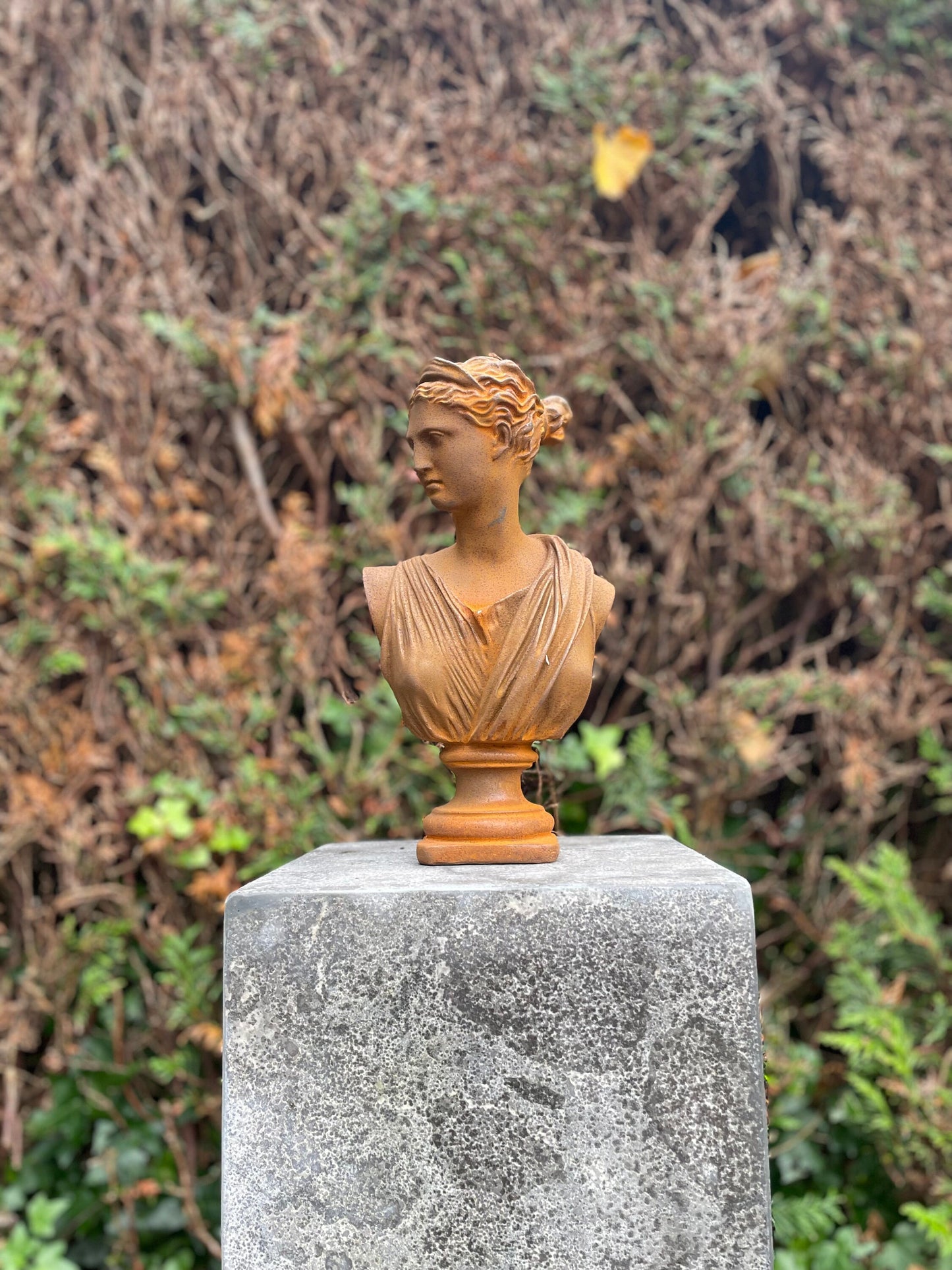 Classical Lady Bust – Iron Sculpture. 29x16x11cm - 3.5Kg