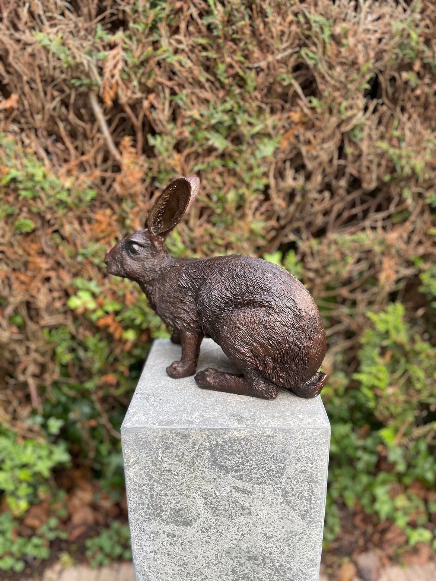 Alert Rabbit – Bronze Sculpture. 34x16x28cm - 4Kg