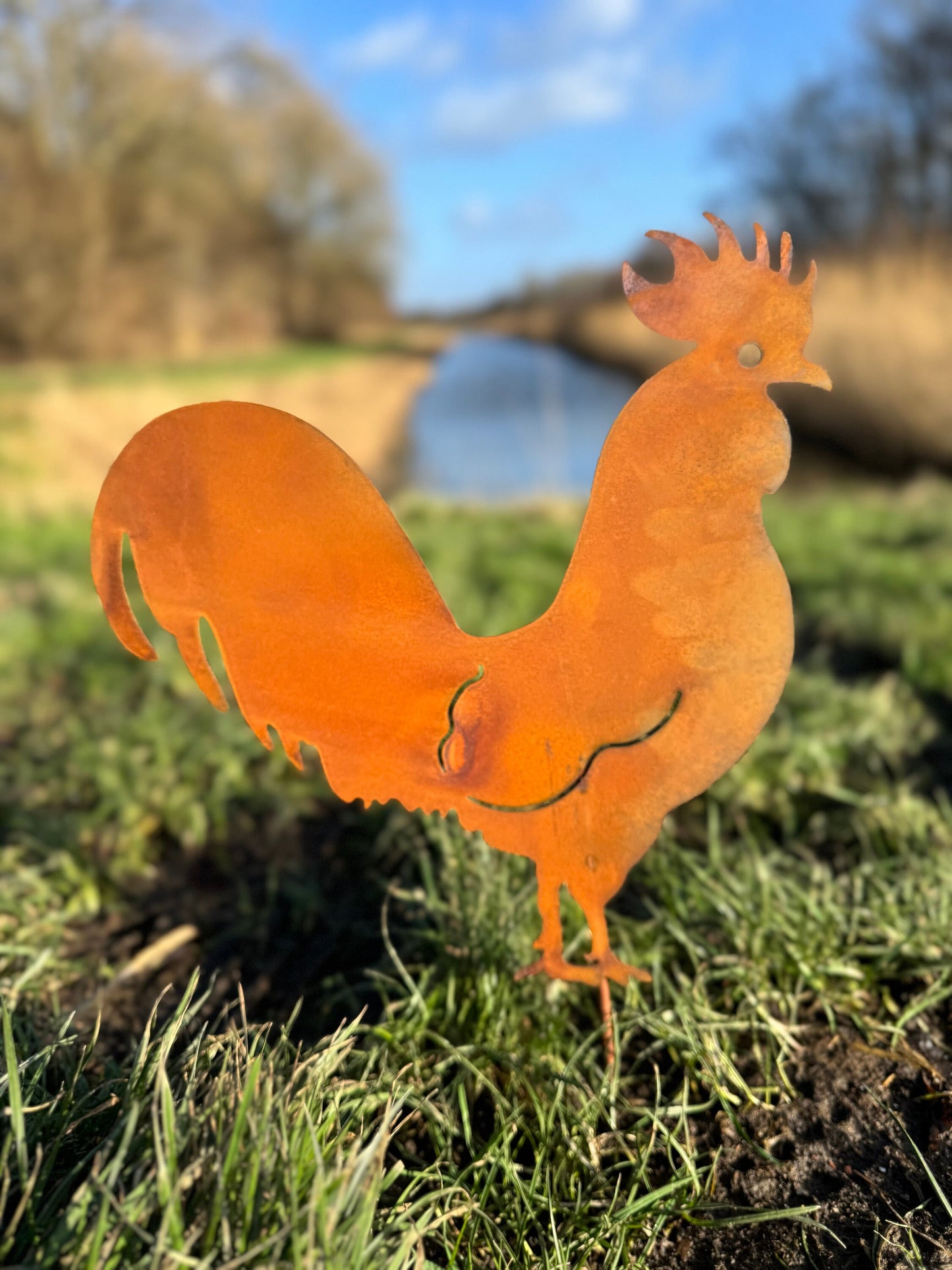 Rustic Rooster – Iron Sculpture. 34x39x1cm