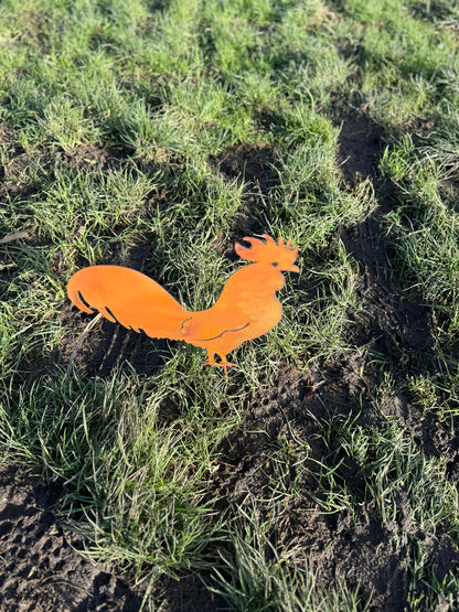 Rustic Rooster – Iron Sculpture. 34x39x1cm