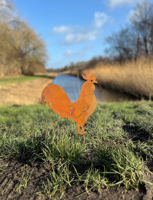 Rustic Rooster – Iron Sculpture. 34x39x1cm