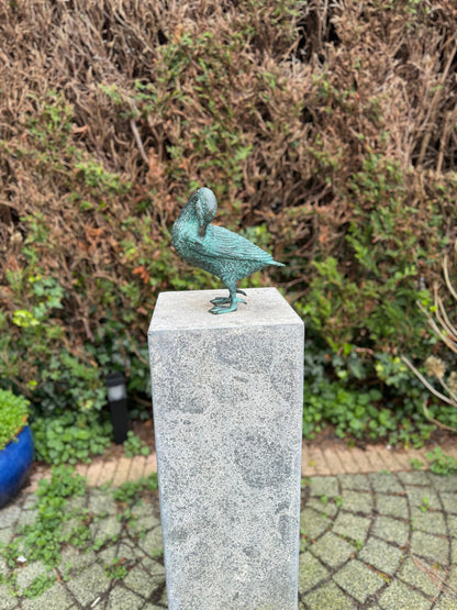 Grooming Duck – Bronze Sculpture. 21x22x23cm - 1.5Kg